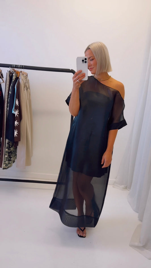 By Frankie/ Organza Maxi Dress