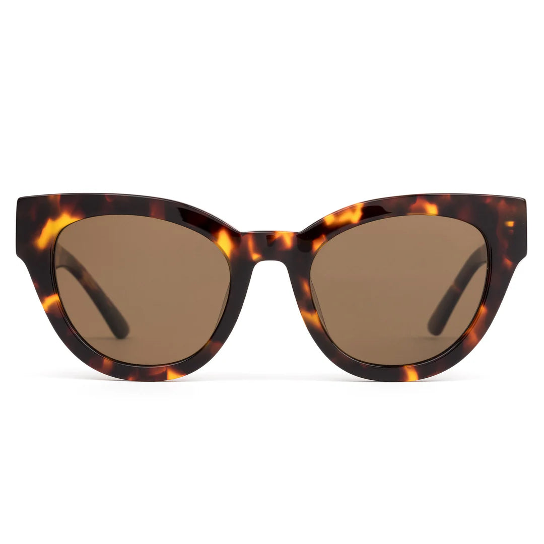 SOUL FUSION
MAPLE TORT POLARISED